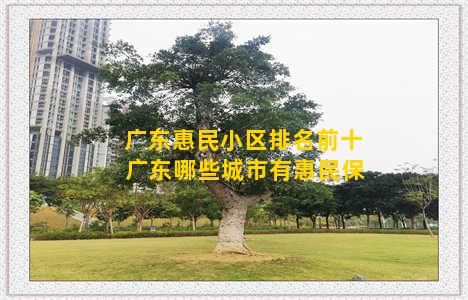 广东惠民小区排名前十 广东哪些城市有惠民保